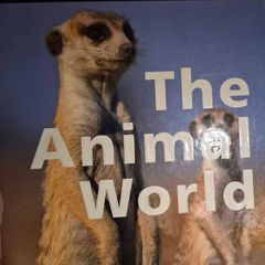 The animal world