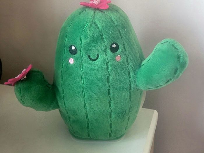 Cactus Speaking Toy