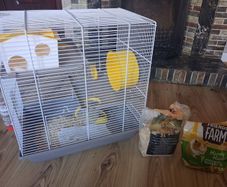Hamster Cage