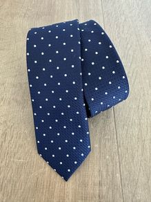 NEXT Navy Blue/White Tie