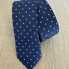 NEXT Navy Blue/White Tie