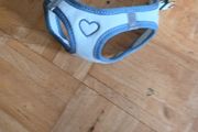 dog harness