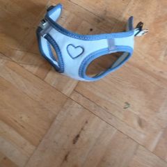 dog harness