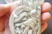 Small Abalone shell with loose leaf white sage for smudging to cleanse negative energies
