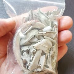 Small Abalone shell with loose leaf white sage for smudging to cleanse negative energies