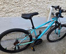 Free bike in need of work