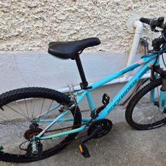 Free bike in need of work
