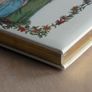 Storybooks by classic children's illustrators Image 4