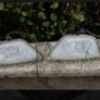 03 Ford Focus parts Image 2