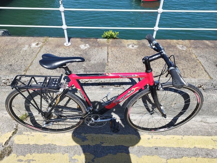 Paganini Hybrid Bike