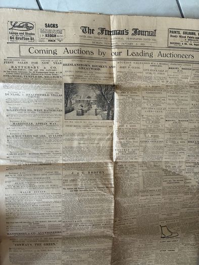 The Freemans Journal -1/1/1921