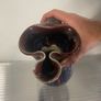 Colm De Ris Vases Image 4