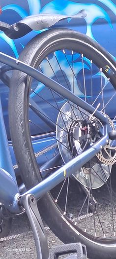 Carrara Electric Bike.