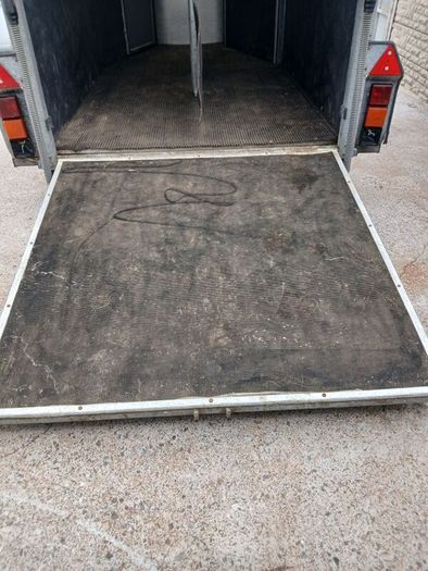 ifor Williams 505 horsebox