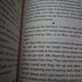 Book: Ella on the Outside Image 3