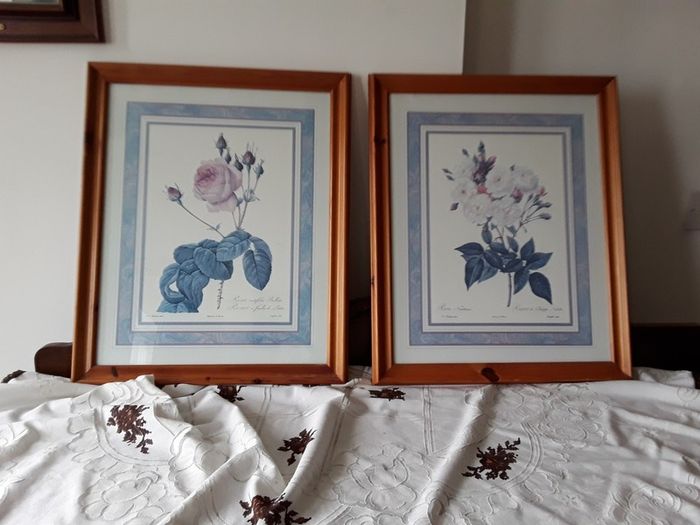 pictures