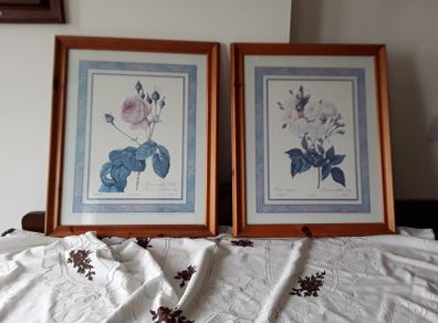 pictures