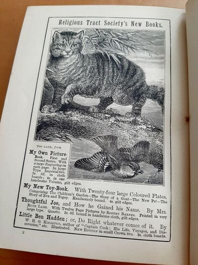 The Two Voyages (vintage book)