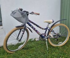 Girls Bike 24""