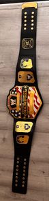 wwe united states championship
