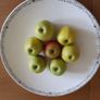 Large Belleek platter16" Image 5