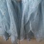 Disney dress Image 3