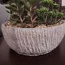 Artificial Plant/Mini Garden of Succulents of Different Varieties & Sizes Image 7