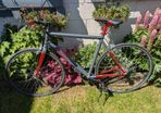 Giant - Fixie road bike