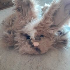 charlie bear meadow bunny puppet