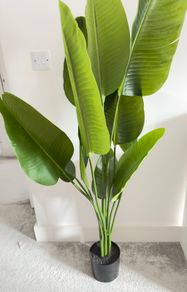 artificial plant