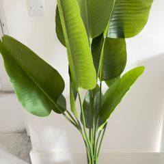 artificial plant