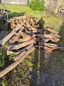 Oak fire wood