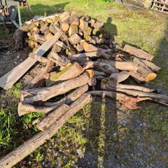 Oak fire wood