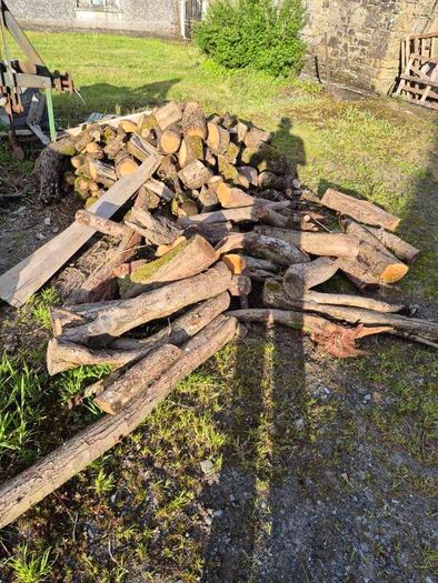 Oak fire wood