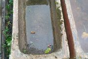 Antique cattle troughs