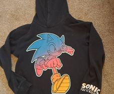 Sonic Hoodie