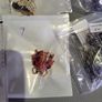 Costume jewellery collection Image 10