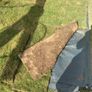 fresh lawn turf / sod for free Image 3