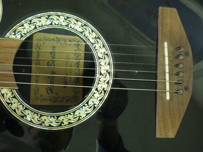 Guitar Harley Benton HBO 500 BLK