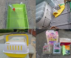 Guinea Pig housing & Equipment