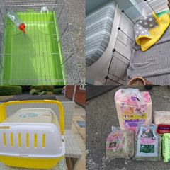 Guinea Pig housing & Equipment