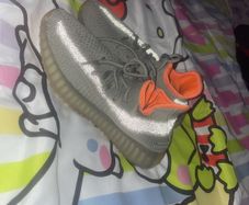 trainers
