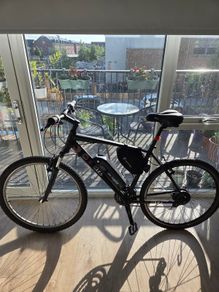 Electric bike