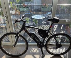 Electric bike