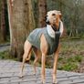 Whippet/Lurcher weather resistant fitted raincoat Image 9