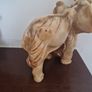 Elephant Image 4