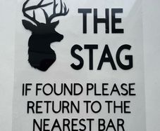 Stag Party DIY iron on decal