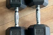 12.5kg Dumbbells (pair)