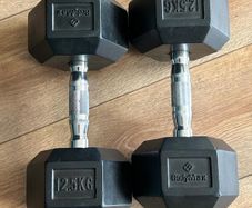 12.5kg Dumbbells (pair)
