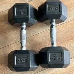 12.5kg Dumbbells (pair)